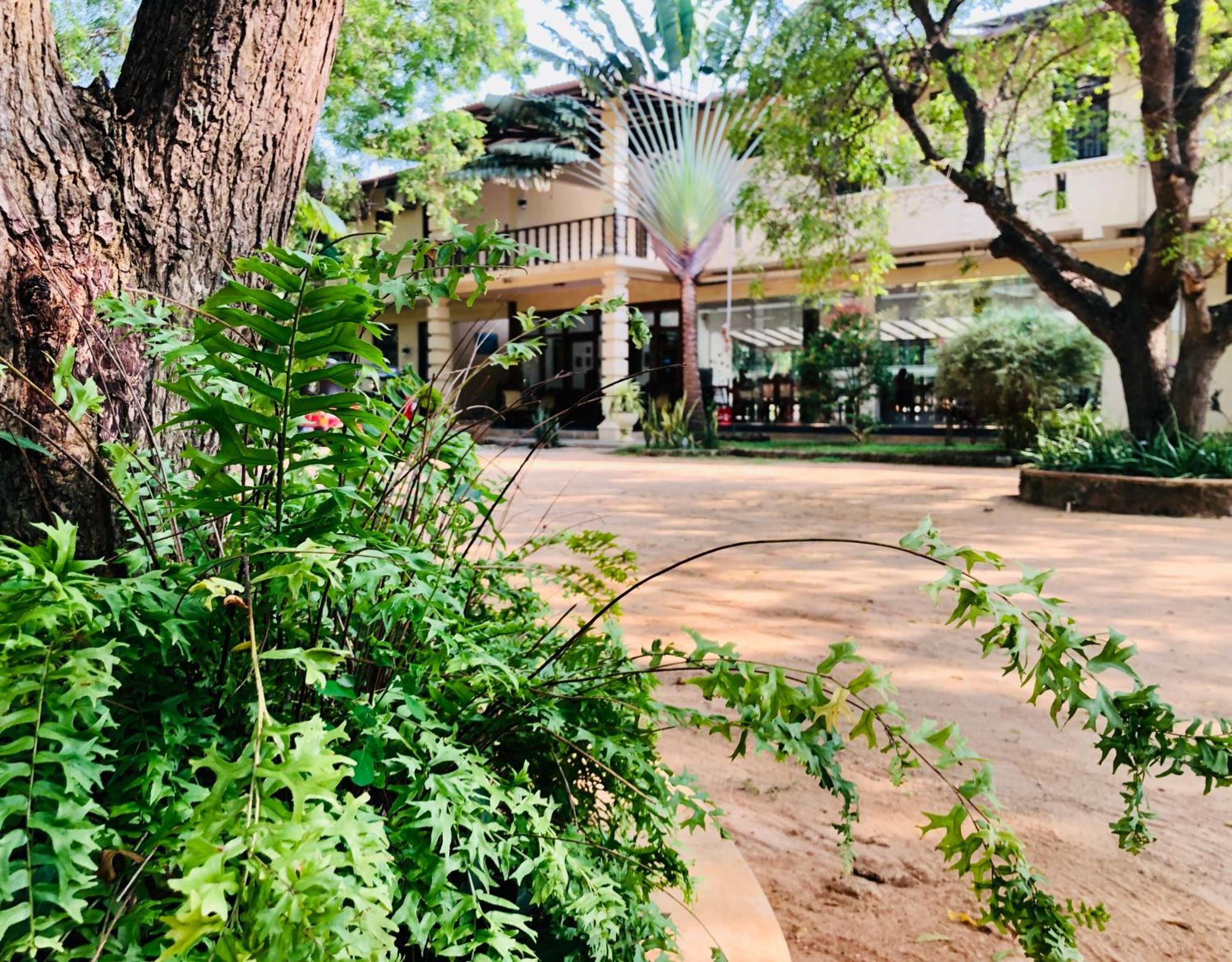 Saman Resort Yala Tissamaharama Luaran gambar