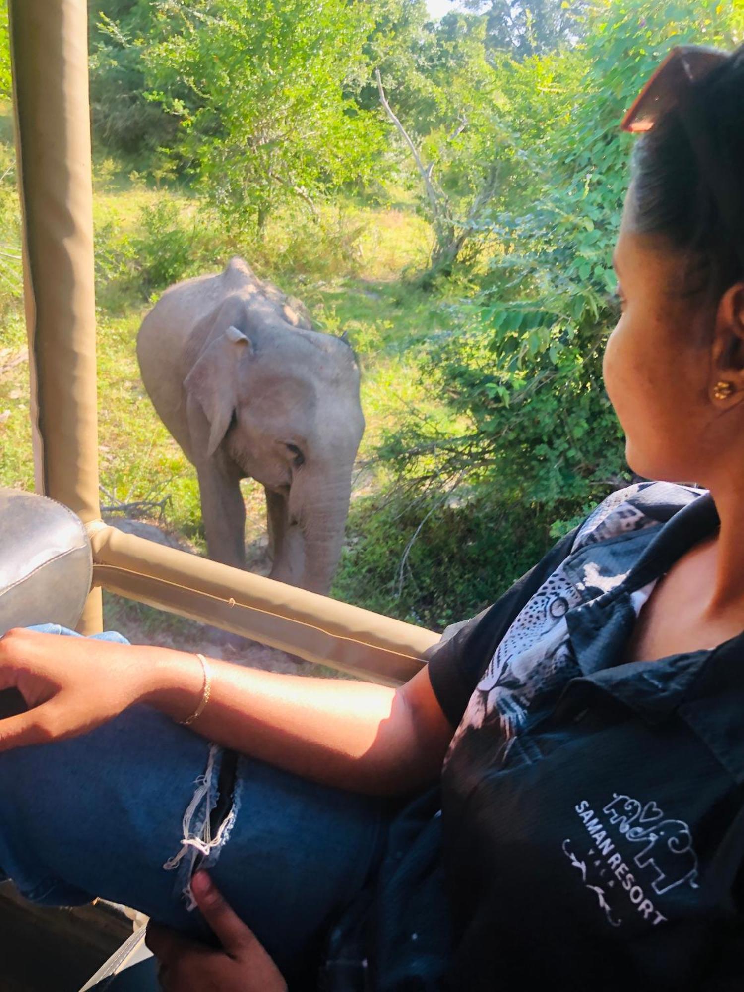 Saman Resort Yala Tissamaharama Luaran gambar