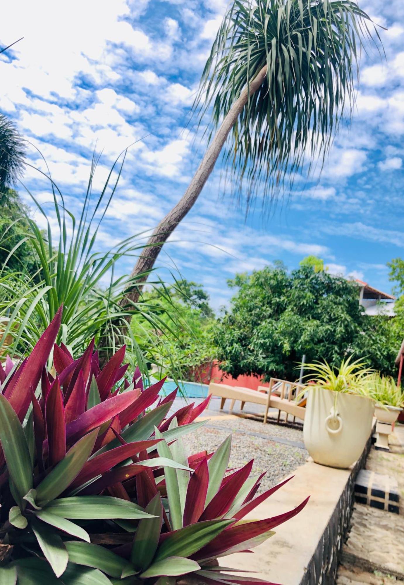 Saman Resort Yala Tissamaharama Luaran gambar