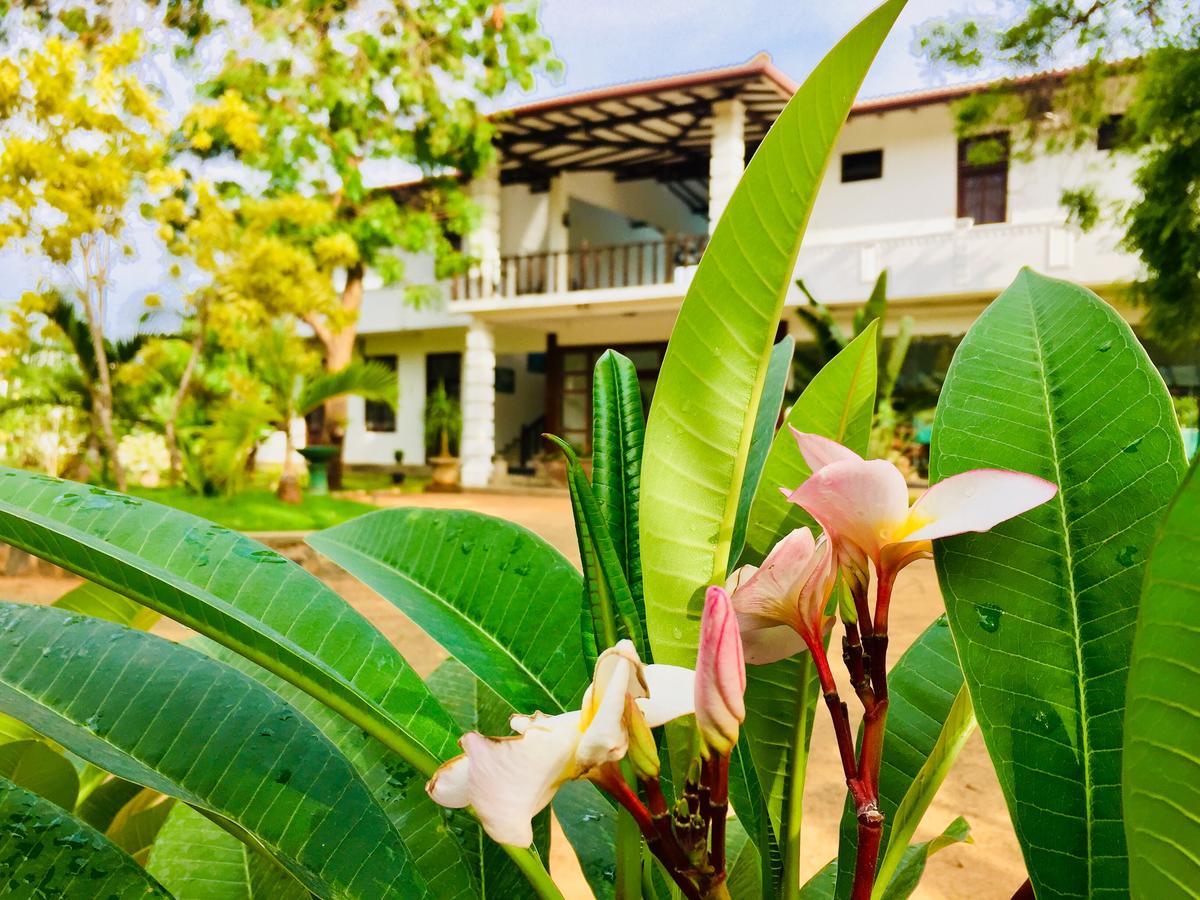 Saman Resort Yala Tissamaharama Luaran gambar